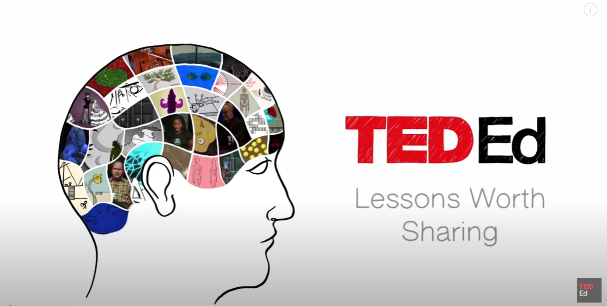 Information on Disability , Accessibility , Diversity & Inclusion 